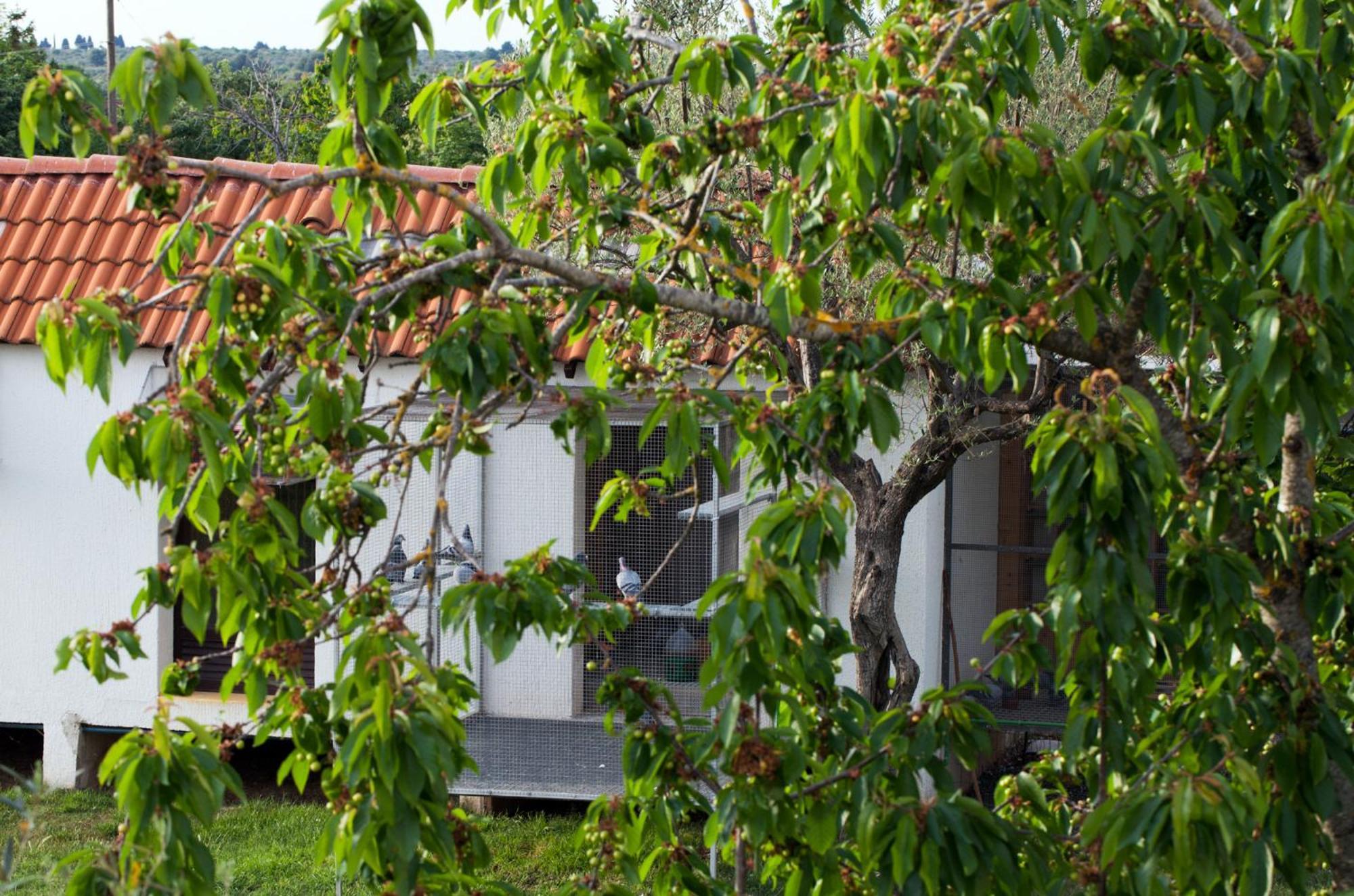 B&B Moderno Fažana Oda fotoğraf